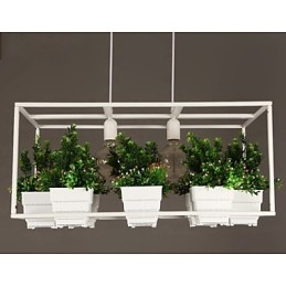 Moderne moderne dekorativt design pendel (omfatter ikke planter)