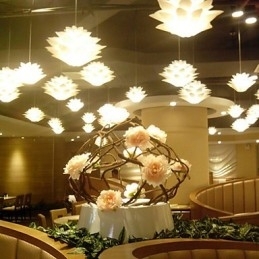 Lotus Modern Decoration DropLight Lampe