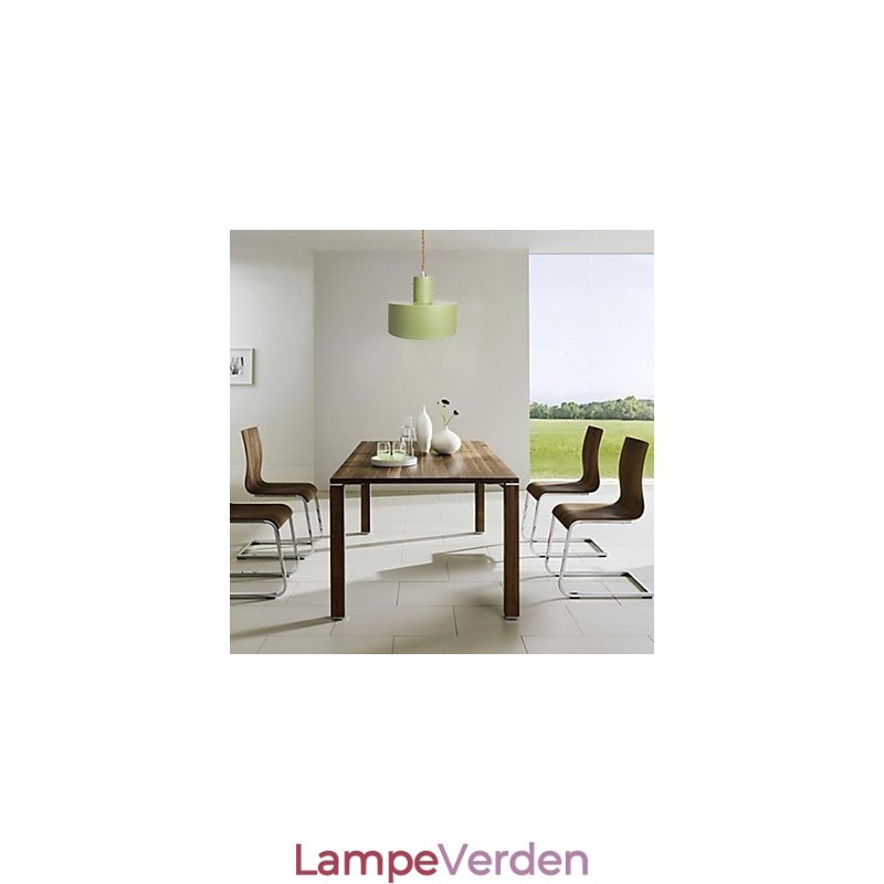 Moderne moderne land mini stil maleri metal pendel lys børn