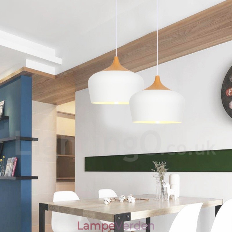 Modern Contemporary 1 Light Pendel Light