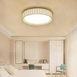 Moderne moderne integreret metal flush Mount Light