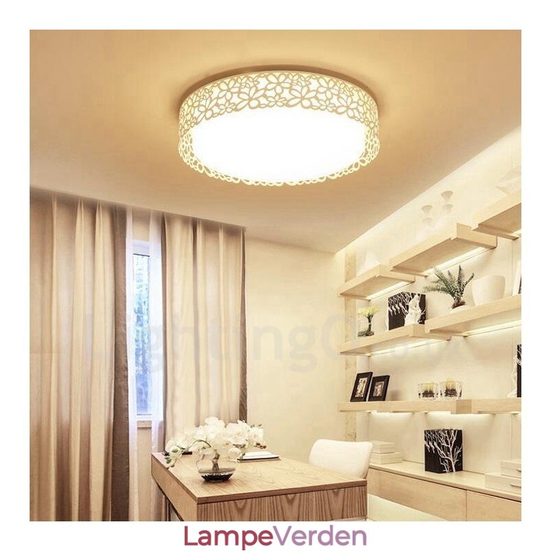 Moderne moderne integreret metal flush Mount Light