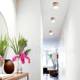 Træ moderne design mini loftslampe med akryl skærm Speciel for Kan også bruges som væglampe