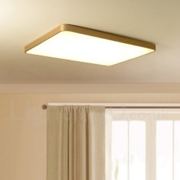 Ultratyndt rektangel, der kan dæmpes, moderne moderne nordisk stil Flush Mount messing loftslamper med akrylskærm kan også bruges som væglampe