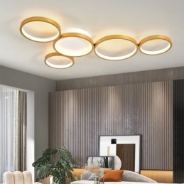Moderne Flush Mount Aluminium Art Loftslampe