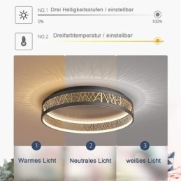 Loftslys Fuglerede Rund Lampe Moderne Armaturer