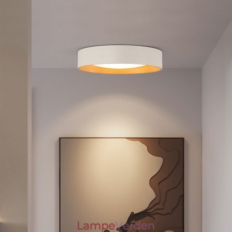 Loftslampe Moderne Minimalistisk Flush Mount Panel Lampe