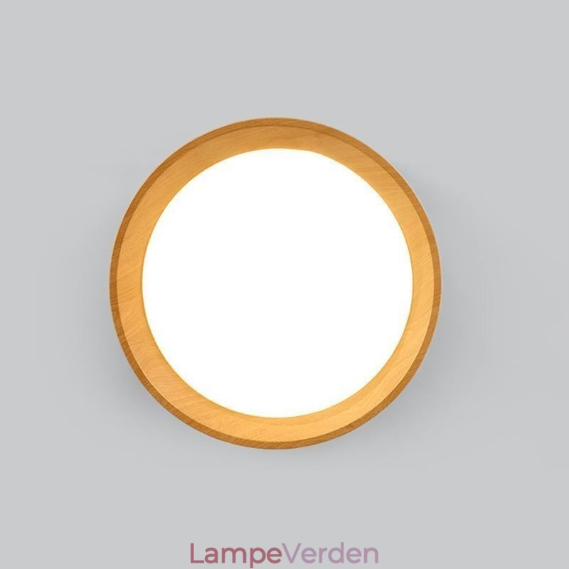 Loftslampe Moderne Minimalistisk Flush Mount Panel Lampe