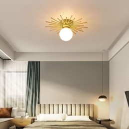 Moderne 1 lys Flush Mount Loftslampe Globe Loftlampe