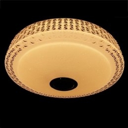 Loftslys Dekorativ lampe Fjernbetjening APP-kontrol Bluetooth-musikhøjttaler Flush Mount