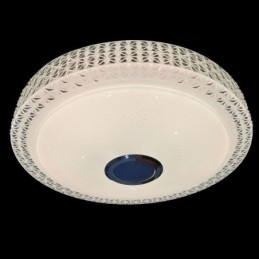 Loftslys Dekorativ lampe Fjernbetjening APP-kontrol Bluetooth-musikhøjttaler Flush Mount
