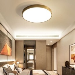 Rund Flush Mount Modern gylden akryl loftslampe