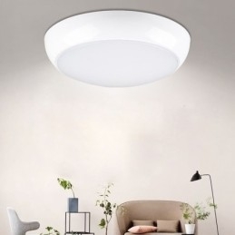 Creative Flush Mount Rund Loftslampe Home Lighting Light