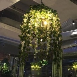 Moderne Plant Lys Dekorativ Industriel Stil Lysekrone Shop Musik