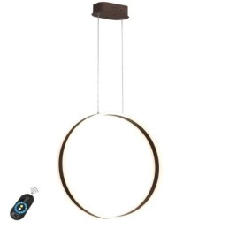Nordic Pendel Pendel akryl Ring Form Pendel