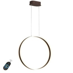 Nordic Pendel Pendel i Akryl Ring Form