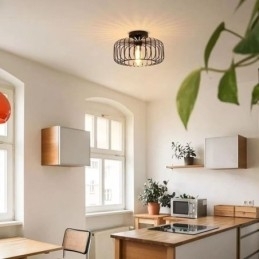 Simple Flush Mount Iron Bird Cage Loftslampe