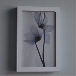 Integreret Modern Contemporary Modern Contemporary Painting Feature for Ambient Light Wall Sconces