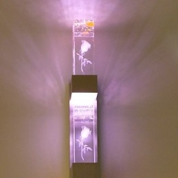 Multi Color Nyhedsfunktion til Mini Style Ambient Light Wall Sconces Væglampe Rose Light