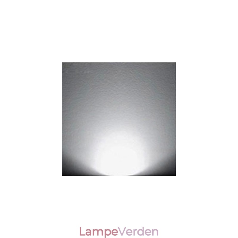 Multi Color Nyhedsfunktion til Mini Style Ambient Light Wall Sconces Væglampe Rose Light