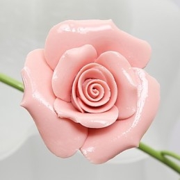 Valentinsdag Rosenhavens blomster og planter absorberer kuppellys