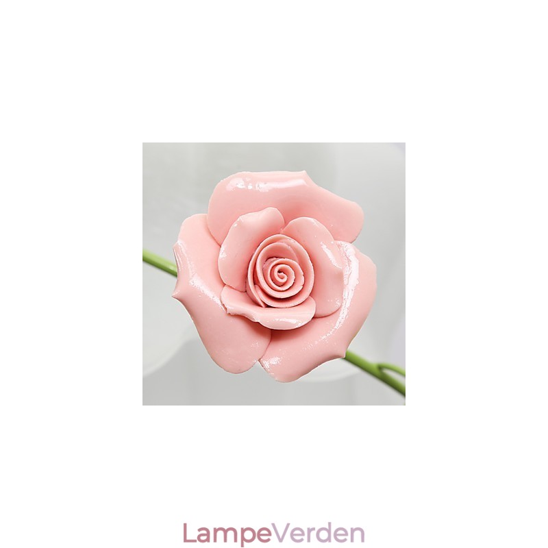 Valentinsdag Rosenhavens blomster og planter absorberer kuppellys