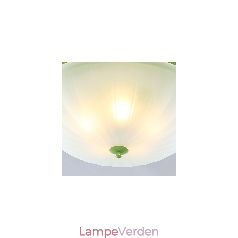 Valentinsdag Haveblomster og planter absorberer kuppellys