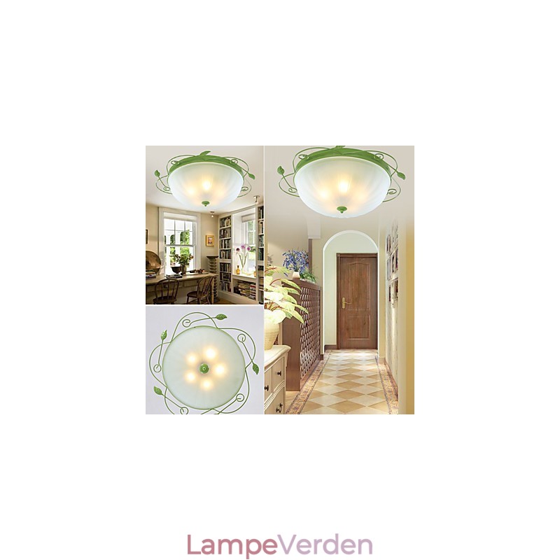 Valentinsdag Haveblomster og planter absorberer kuppellys