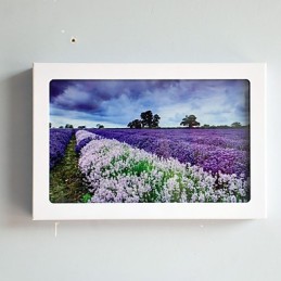 Integreret Modern Contemporary Modern Contemporary Painting Feature for Ambient Light Wall Sconces