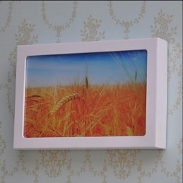Integreret Modern Contemporary Modern Contemporary Painting Feature for Ambient Light Wall Sconces