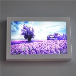 Integreret Modern Contemporary Modern Contemporary Painting Feature for Ambient Light Wall Sconces