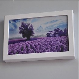 Integreret Modern Contemporary Modern Contemporary Painting Feature for Ambient Light Wall Sconces