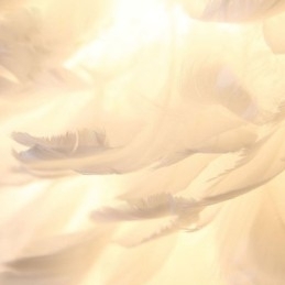 Creative Feather Væglampe Dekorativ Sconce Light