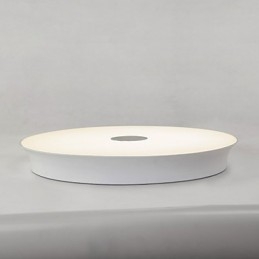 Flush Mount Modern Contemporary Metal