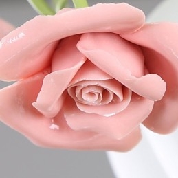 Valentinsdag Rosenhavens blomster og planter absorberer kuppellys