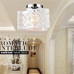 Moderne og kontraheret lampe Enkelthoved til at absorbere kuppellys