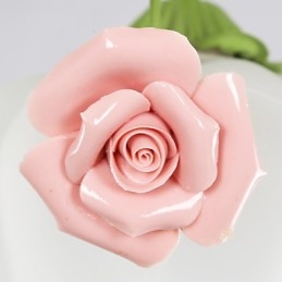 Valentinsdag Haveblomster og planter absorberer kuppellys