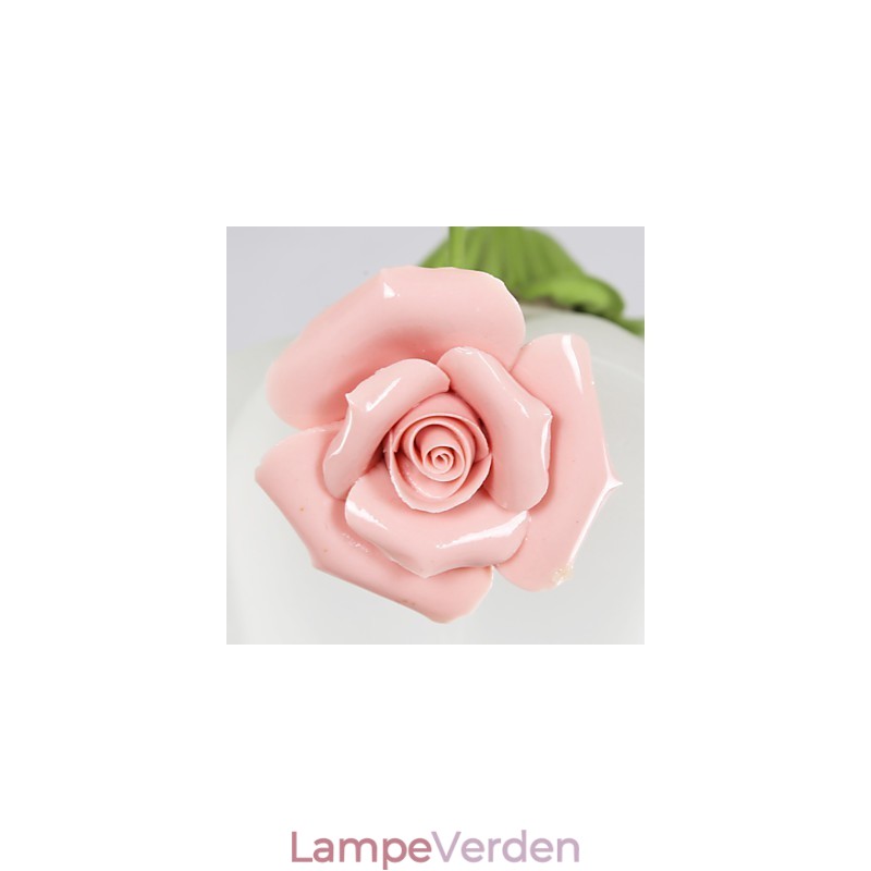 Valentinsdag Haveblomster og planter absorberer kuppellys