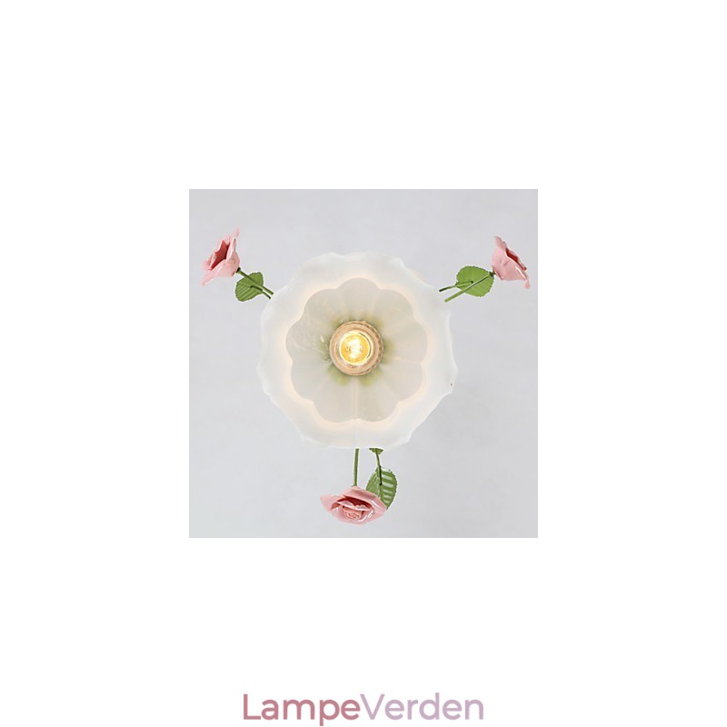 Valentinsdag Haveblomster og planter absorberer kuppellys