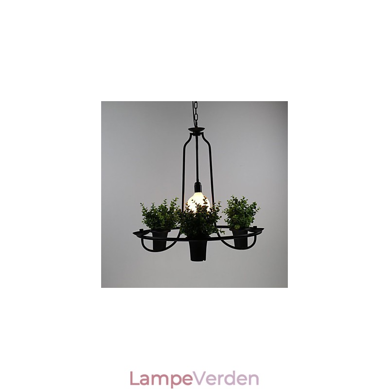 Middelhavet Have blomster Lys