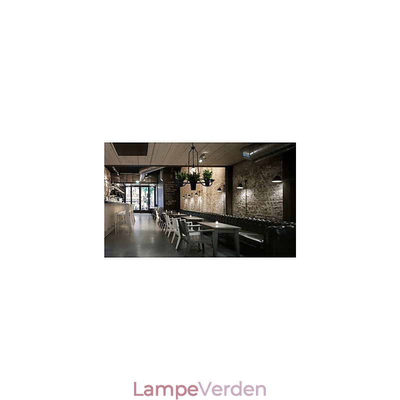 Middelhavet Have blomster Lys