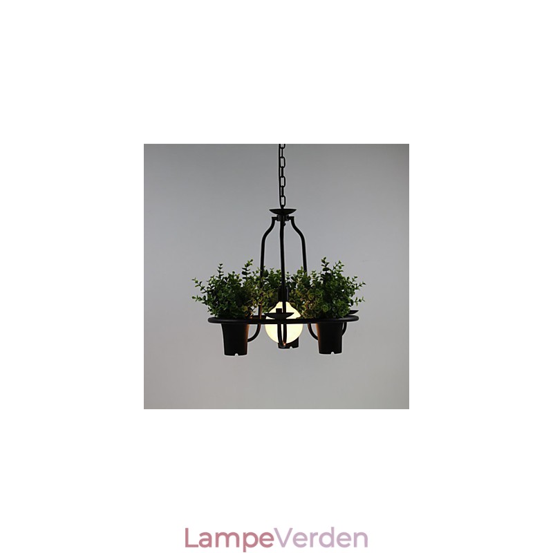 Middelhavet Have blomster Lys