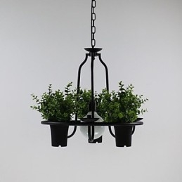 Middelhavet Have blomster Lys