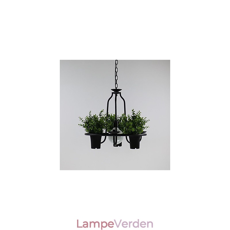 Middelhavet Have blomster Lys