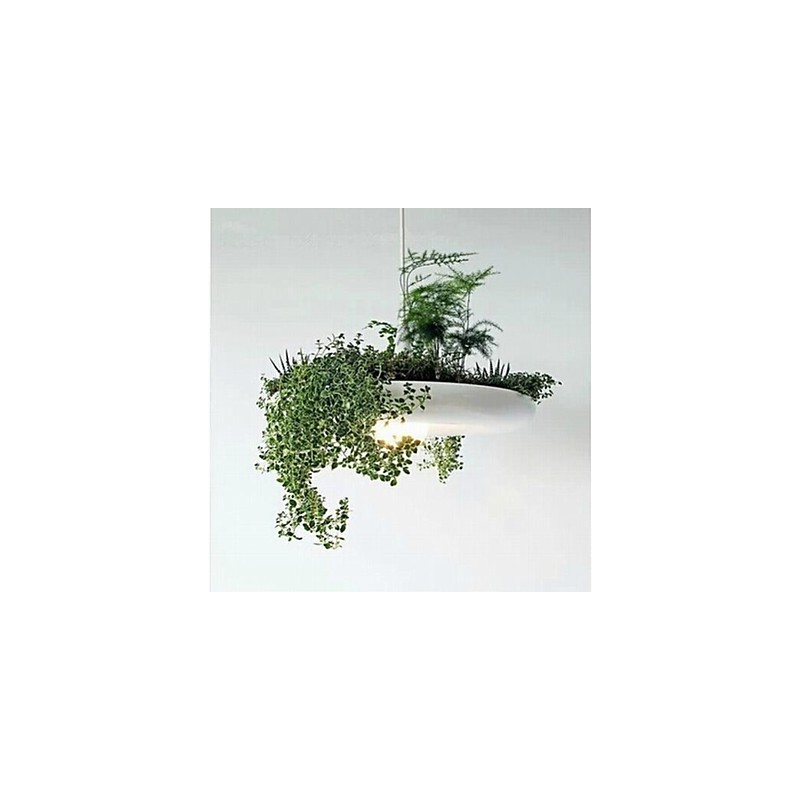 Moderne Contemporary Others Metal Pendel