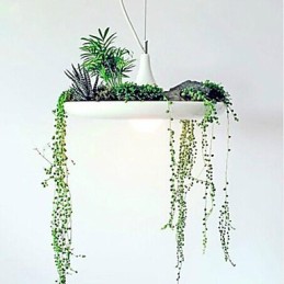 Moderne Contemporary Others Metal Pendel