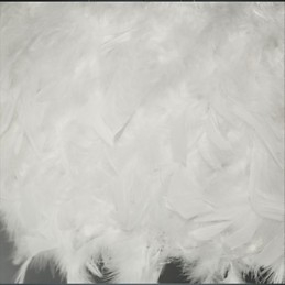 Hot sælgende Dia Fashion Feather Lysekrone Modern Light