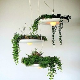Aluminium Droplight Nordic Creative Contracted Sky Garden Lamper og lanterner Light No Soil Plant