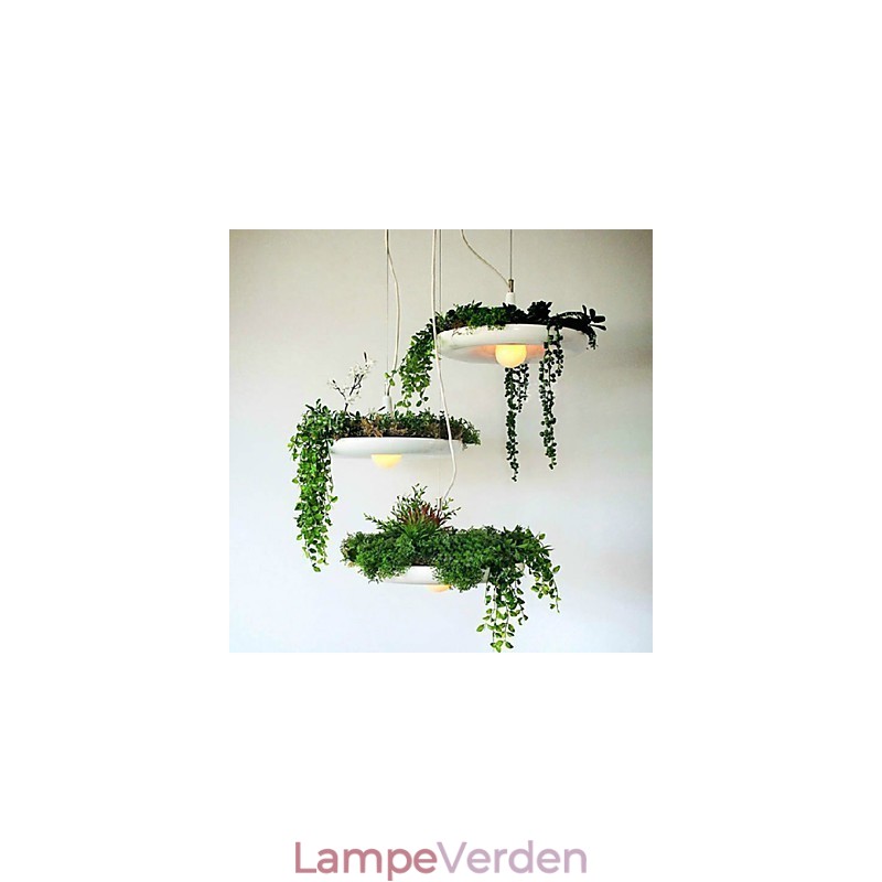 Aluminium Droplight Nordic Creative Contracted Sky Garden Lamper og lanterner Light No Soil Plant
