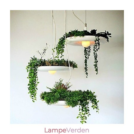 Aluminium Droplight Nordic Creative Contracted Sky Garden Lamper og lanterner Light No Soil Plant Aluminium Droplight Nordic Creative Contracted Sky Garden Lamper og lanterner Light No Soil Plant